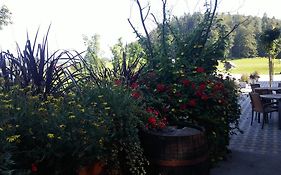 Darja Guesthouse